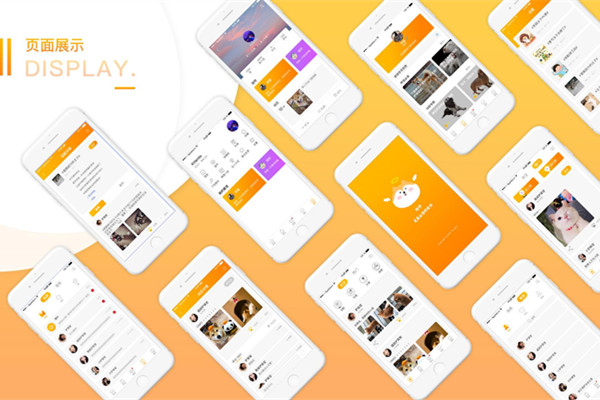 寵物APP開(kāi)發(fā)解決方案